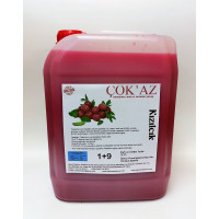 Çok'az Konsantre Meyve Aromalı Şurup 1+9 KIZILCIK 5 LT Çok'az Konsantre Meyve Aromalı Şurup 1+9 KIZILCIK 5 LT